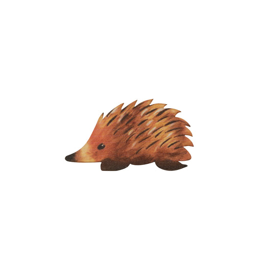 Jewellery ~ Echidna Brooch