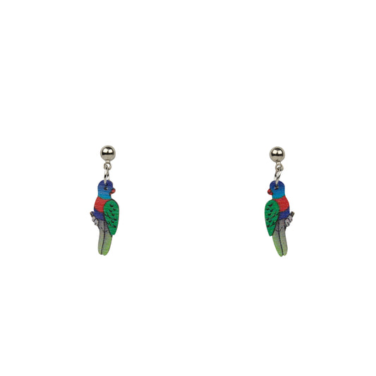 Jewellery ~ Rainbow Lorikeet Earrings