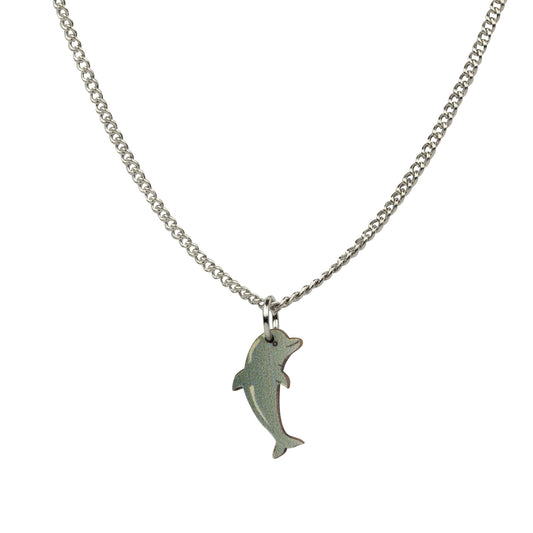 Jewellery ~ Dolphin Pendant