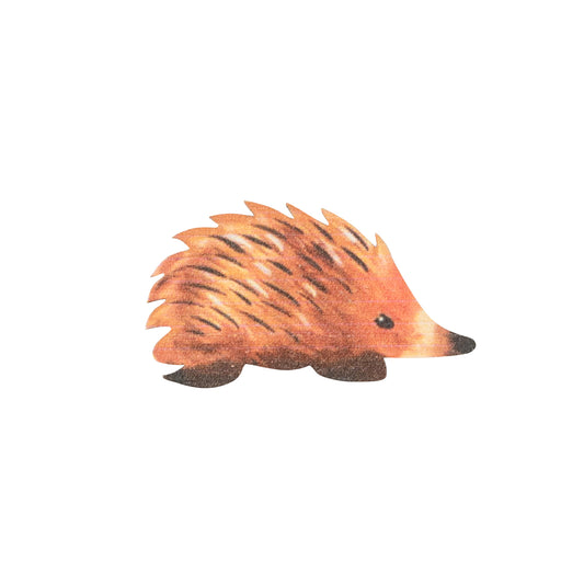 Magnet ~ Echidna