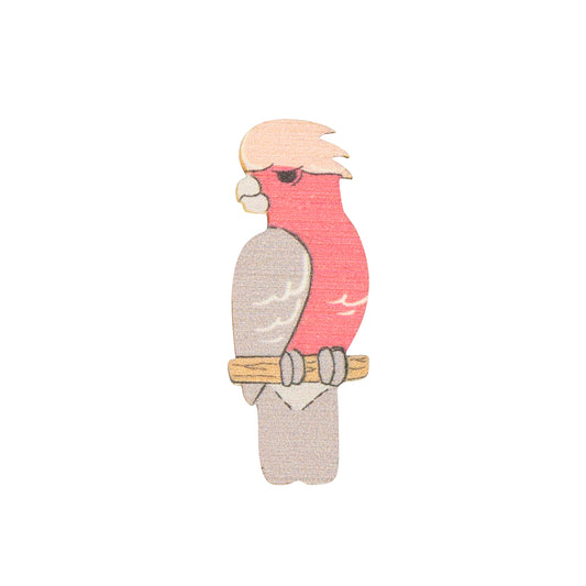 Magnet ~ Galah