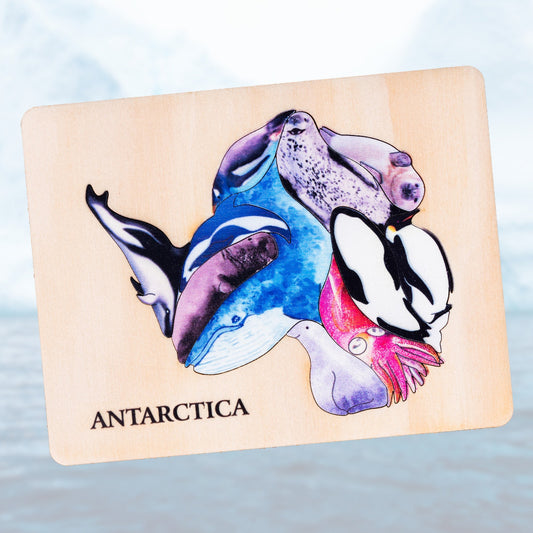 Native Animals of Antarctica ~ Educational Puzzle