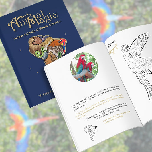 Native Animals of South America ~ Activity Colouring Book